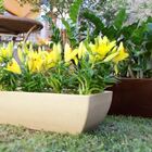 Vaso Jardineira Polietileno Tamara 80 Café