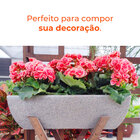 Vaso Jardineira Tamara Pedra 60 Terrano