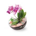 Vaso Lua Acrílico Médio Injeplastec