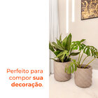 Vaso Maragogi Pedra 35 Terrano