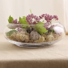 Vaso Mini Terrário De Vidro Para Suculentas 9x15x18cm