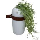Vaso Moderno Com Tira De Couro Em Volta E Planta Caída