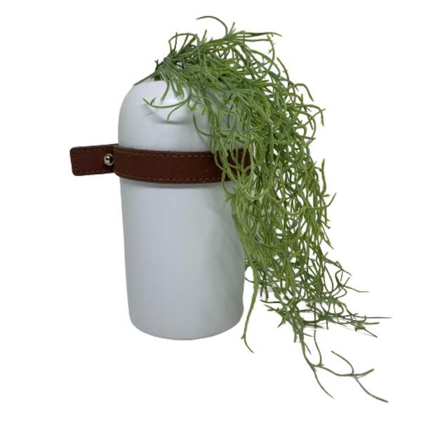 Vaso Moderno Com Tira De Couro Em Volta E Planta Caída