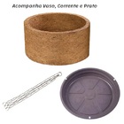 Vaso Nutricoco Completo 04 Natural