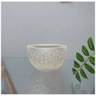 Vaso Nutriplan Luna Redondo Cimento 17 - 7303201/31