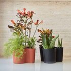 Vaso Organique 14 Terracota