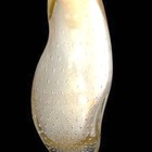 Vaso Orion Gold Off White São Marcos