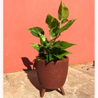 Vaso P/ Flores 20cm Com Tripé De Madeira Plantas Decorativas