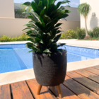 Vaso P/ Flores 20cm Com Tripé De Madeira Plantas Decorativas