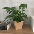 Vaso Papel Vintage Bege 17x15cm Albano