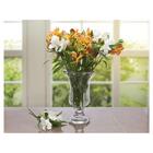 Vaso Para Flor Plantas Nihao De Vidro Design Luxuoso 29x18cm