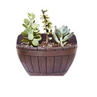 Vaso Para Flores Decorativo Tina Nutriplan Parede Carvalho