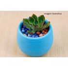 Vaso Para Jardim De Vidro Verde Decorativo Enfeite Ambiente