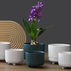 Vaso Para Jardim Decorativo Plantas Flor Verde Com Pé 11x9cm