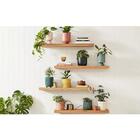 Vaso Para Jardim Decorativo Plantas Flor Verde Com Pé 11x9cm