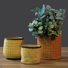 Vaso Para Plantas Decorativo Enfeite De Cerâmica Bege 10cm