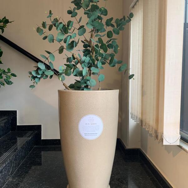 Vaso Para Plantas - Pisa 30cm Largura X 53cm Altura - Areia