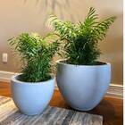 Vaso Paranoá (32x26) Antique Cimento Vasart