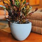 Vaso Paranoá (47x38) Antique Cimento Vasart