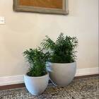 Vaso Paranoá (47x38) Antique Cimento Vasart