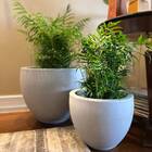 Vaso Paranoá (47x38) Antique Cimento Vasart