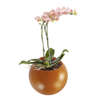 Vaso Parede Cerâmico Bolacha Grande 20x10,5