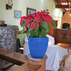 Vaso Planta 30x30 Moderno Trapézio Polietileno - Azul Arara 0