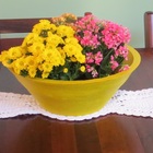 Vaso Planta 40x15 Bacia De Mesa Polietileno - Amarelo Girasso