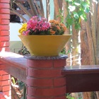 Vaso Planta 40x15 Bacia De Mesa Polietileno - Amarelo Girasso