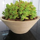 Vaso Planta 40x15 Bacia De Mesa Polietileno - Areia 001