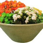 Vaso Planta 40x15 Bacia De Mesa Polietileno - Areia 001