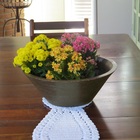 Vaso Planta 40x15 Bacia De Mesa Polietileno - Marrom Cafe 003