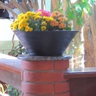 Vaso Planta 40x15 Bacia De Mesa Polietileno - Preto 002