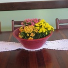 Vaso Planta 40x15 Bacia De Mesa Polietileno - Vermelho Pau Br