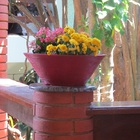 Vaso Planta 40x15 Bacia De Mesa Polietileno - Vermelho Pau Br