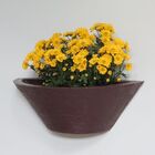 Vaso Planta 40x15 Parede Polietileno - Marrom Cafe 003