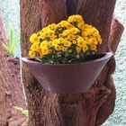 Vaso Planta 40x15 Parede Polietileno - Marrom Cafe 003