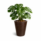 Vaso Planta 50x40 Redondo Cônico Polietileno - Vermelho Pau B