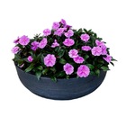 Vaso Planta 55x20 Bacia Cuia Polietileno - Marrom Madeira 015