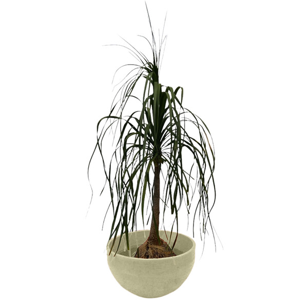 Vaso Planta 60x30 Bacia Polietileno - Areia 001