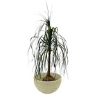 Vaso Planta 60x30 Bacia Polietileno - Areia 001