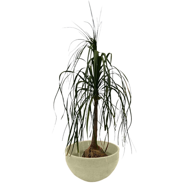 Vaso Planta 60x30 Bacia Polietileno - Areia 001