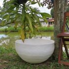 Vaso Planta 60x30 Bacia Polietileno - Branco 006