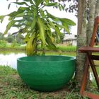 Vaso Planta 60x30 Bacia Polietileno - Verde Bandeira 011