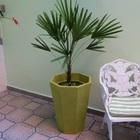 Vaso Planta 65x50 Oitavado Rústico Polietileno - Areia 001