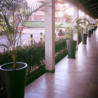 Vaso Planta 75x50 Redondo Cônico Polietileno - Marrom Cafe 003