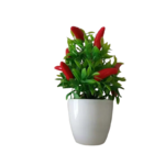 Vaso Planta Artificial Bonsai Pimenta Decoração