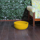 Vaso Planta Orquidea Suculentas 35x15 Bacia Cuia Polietileno