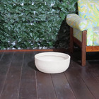 Vaso Planta Orquidea Suculentas 35x15 Bacia Cuia Polietileno