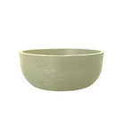 Vaso Planta Orquidea Suculentas 35x15 Bacia Cuia Polietileno